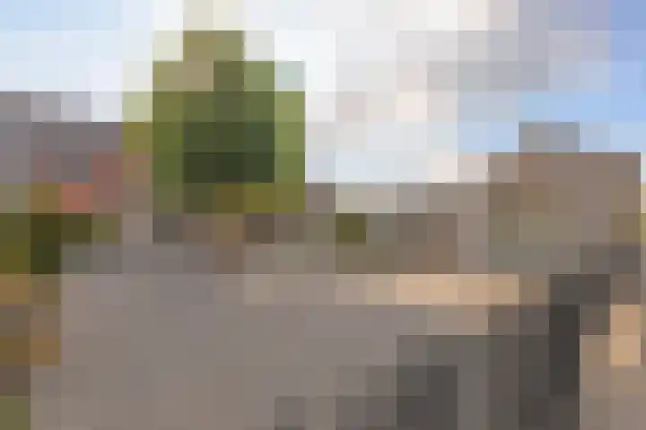 Aloysiushof 1 Zegge thumbnail 28