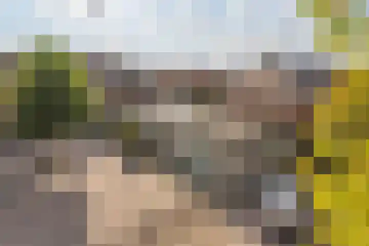 Aloysiushof 1 Zegge thumbnail 30
