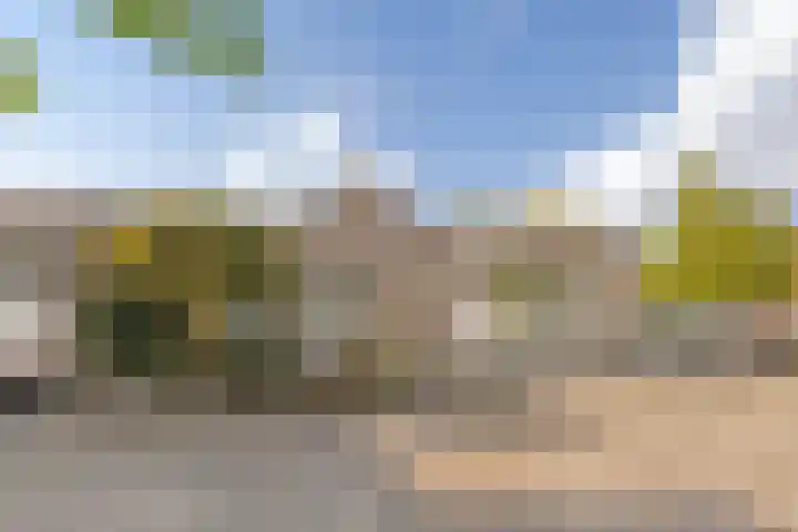 Aloysiushof 1 Zegge thumbnail 5