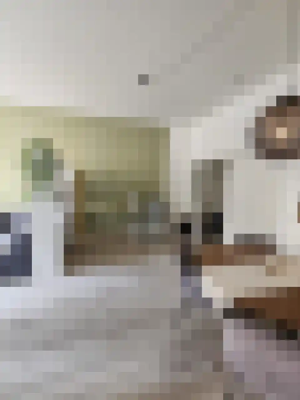 Aloysiushof 3 Oudenbosch thumbnail 4
