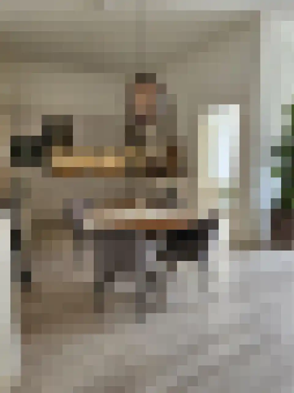 Aloysiushof 3 Oudenbosch thumbnail 5