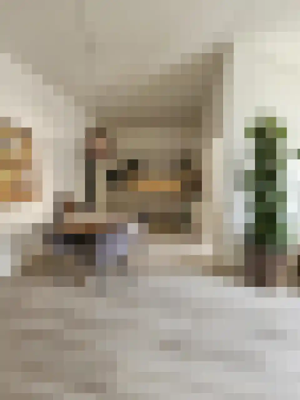 Aloysiushof 3 Oudenbosch thumbnail 6