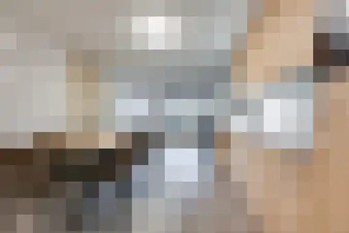 Aloysiushof 7 Zegge thumbnail 10