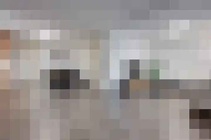 Aloysiushof 7 Zegge thumbnail 16