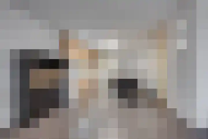 Aloysiushof 7 Zegge thumbnail 17