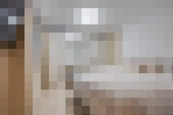 Aloysiushof 7 Zegge thumbnail 20