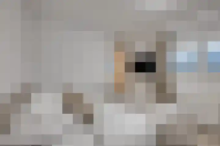 Aloysiushof 7 Zegge thumbnail 21