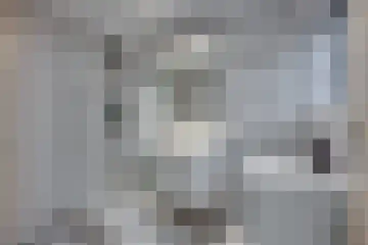 Aloysiushof 7 Zegge thumbnail 22
