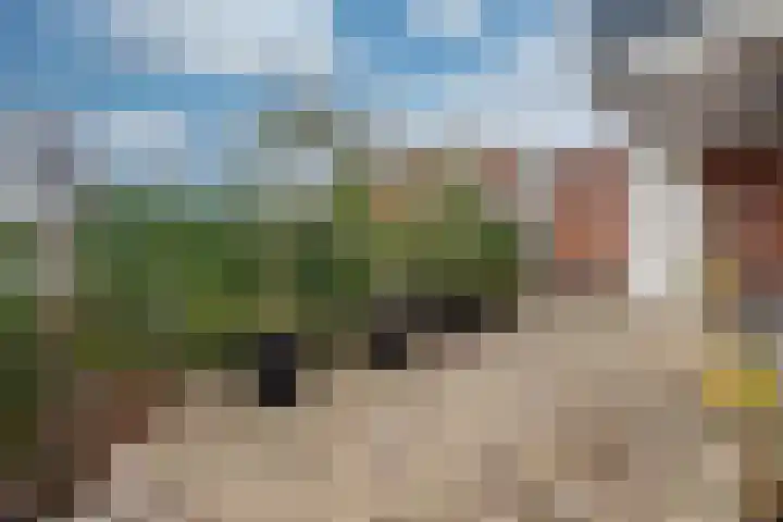 Aloysiushof 7 Zegge thumbnail 28