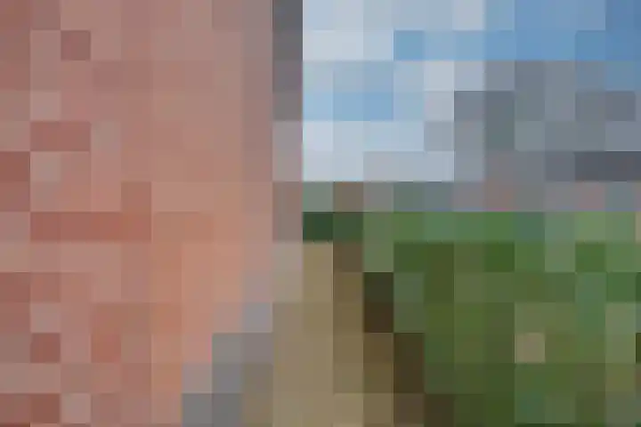 Aloysiushof 7 Zegge thumbnail 29