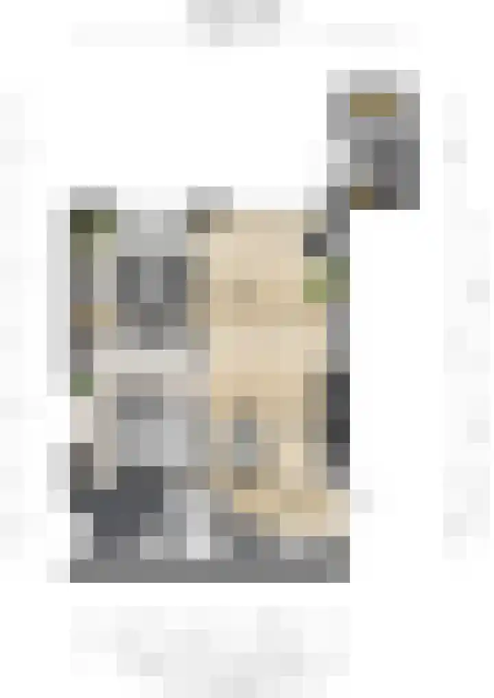Aloysiushof 7 Zegge thumbnail 31