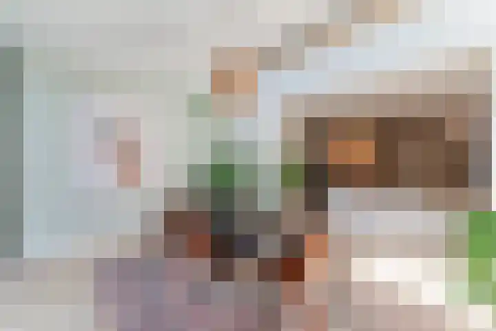 Aloysiusplein 12 Dongen thumbnail 17