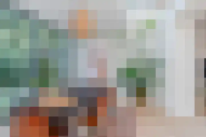 Aloysiusplein 12 Dongen thumbnail 18
