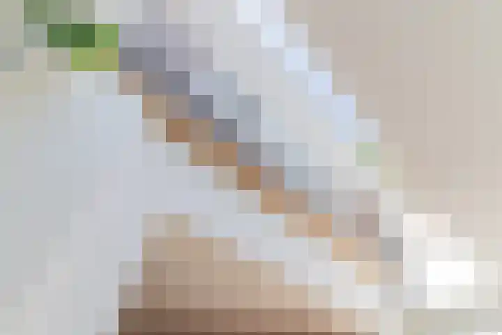 Aloysiusplein 12 Dongen thumbnail 20