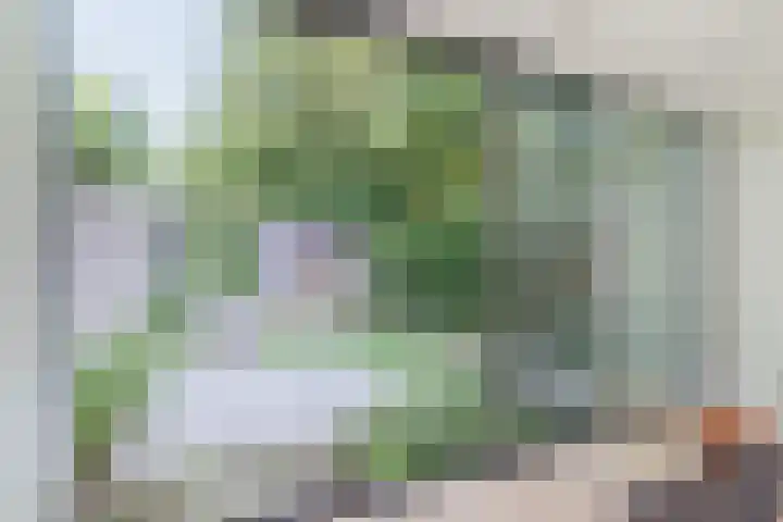 Aloysiusplein 12 Dongen thumbnail 21