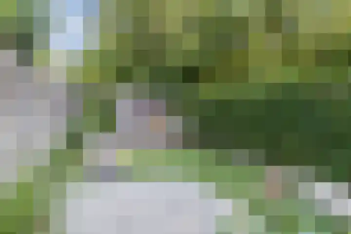 Aloysiusplein 12 Dongen thumbnail 22