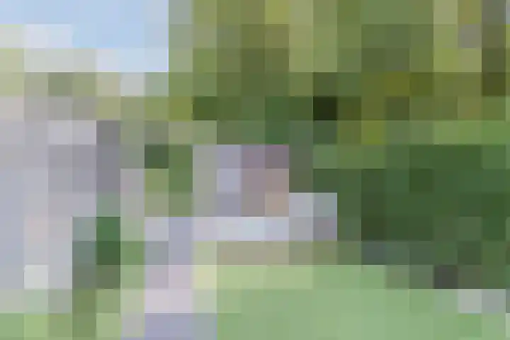 Aloysiusplein 12 Dongen thumbnail 23