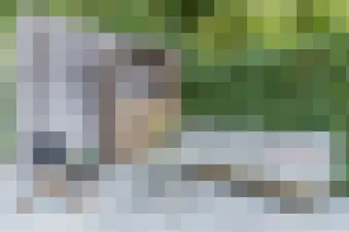 Aloysiusplein 12 Dongen thumbnail 25