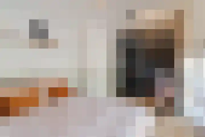 Aloysiusplein 12 Dongen thumbnail 33