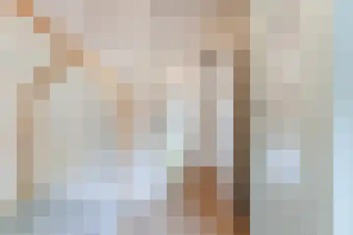 Aloysiusplein 12 Dongen thumbnail 37