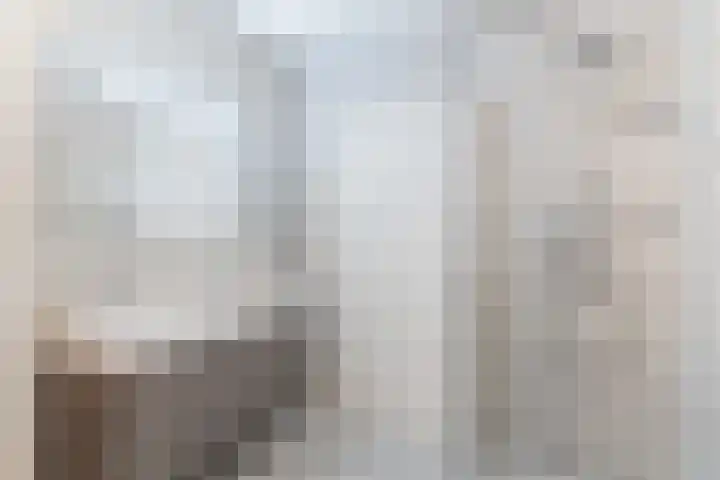Aloysiusplein 12 Dongen thumbnail 41