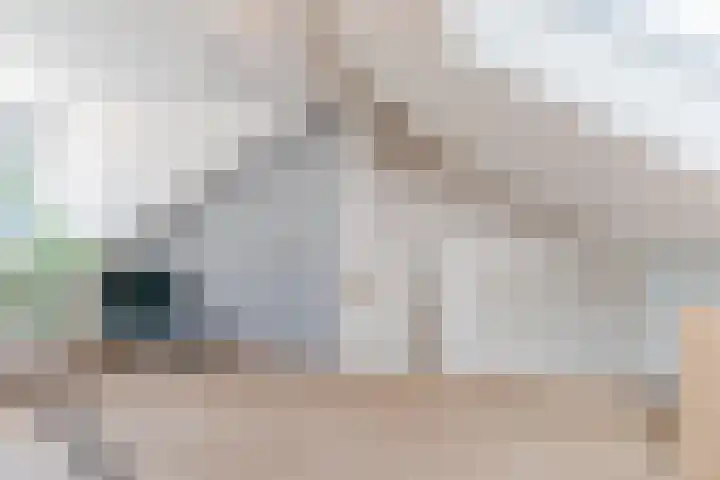Aloysiusplein 12 Dongen thumbnail 46