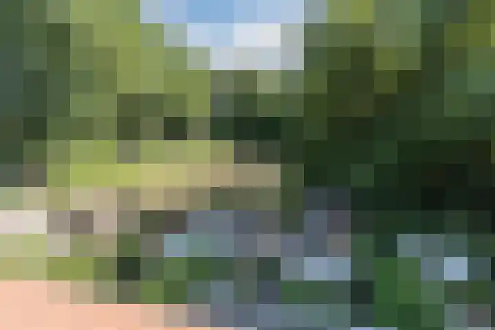 Aloysiusplein 12 Dongen thumbnail 47