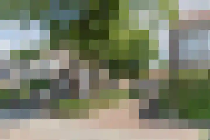Aloysiusplein 12 Dongen thumbnail 53