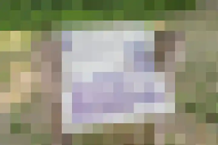 Aloysiusplein 12 Dongen thumbnail 54