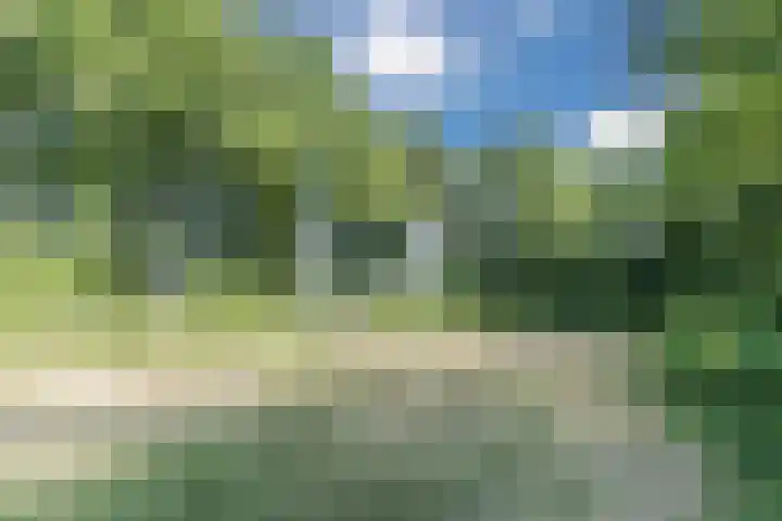 Aloysiusplein 12 Dongen thumbnail 55