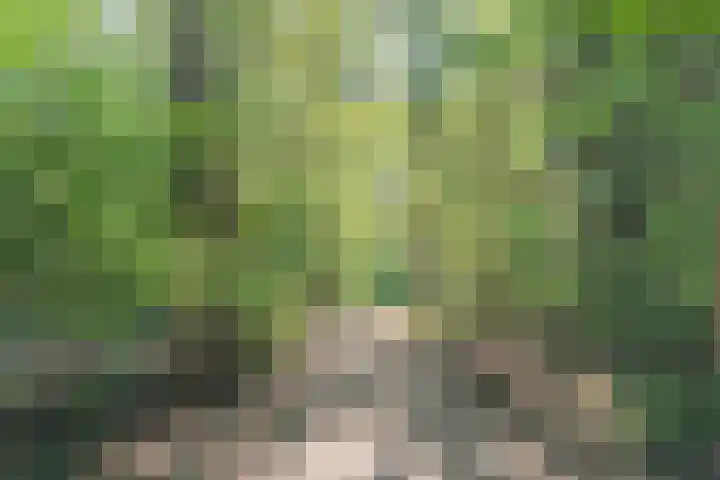 Aloysiusplein 12 Dongen thumbnail 56
