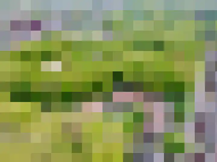 Aloysiusplein 12 Dongen thumbnail 57