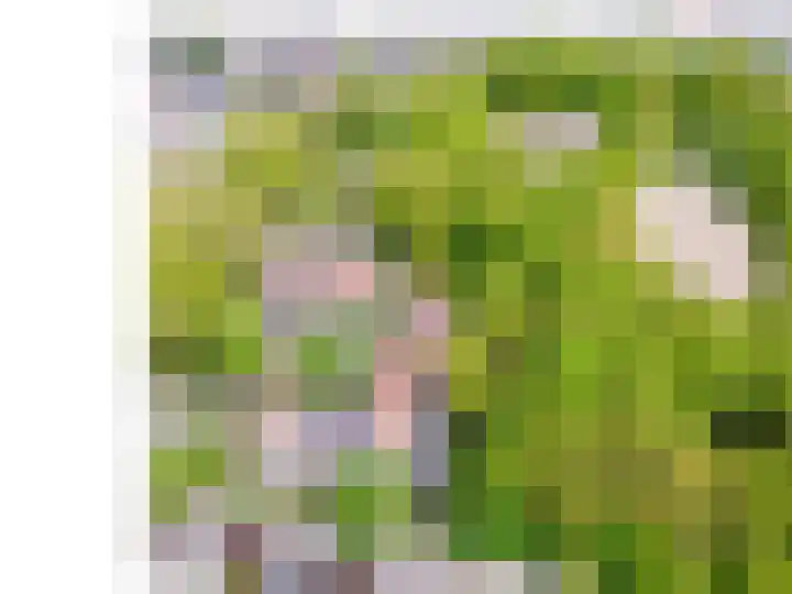 Aloysiusplein 12 Dongen thumbnail 58