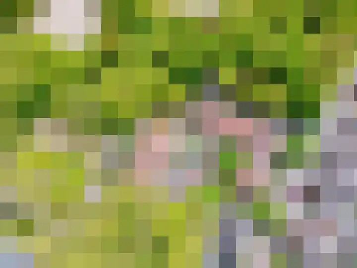 Aloysiusplein 12 Dongen thumbnail 59