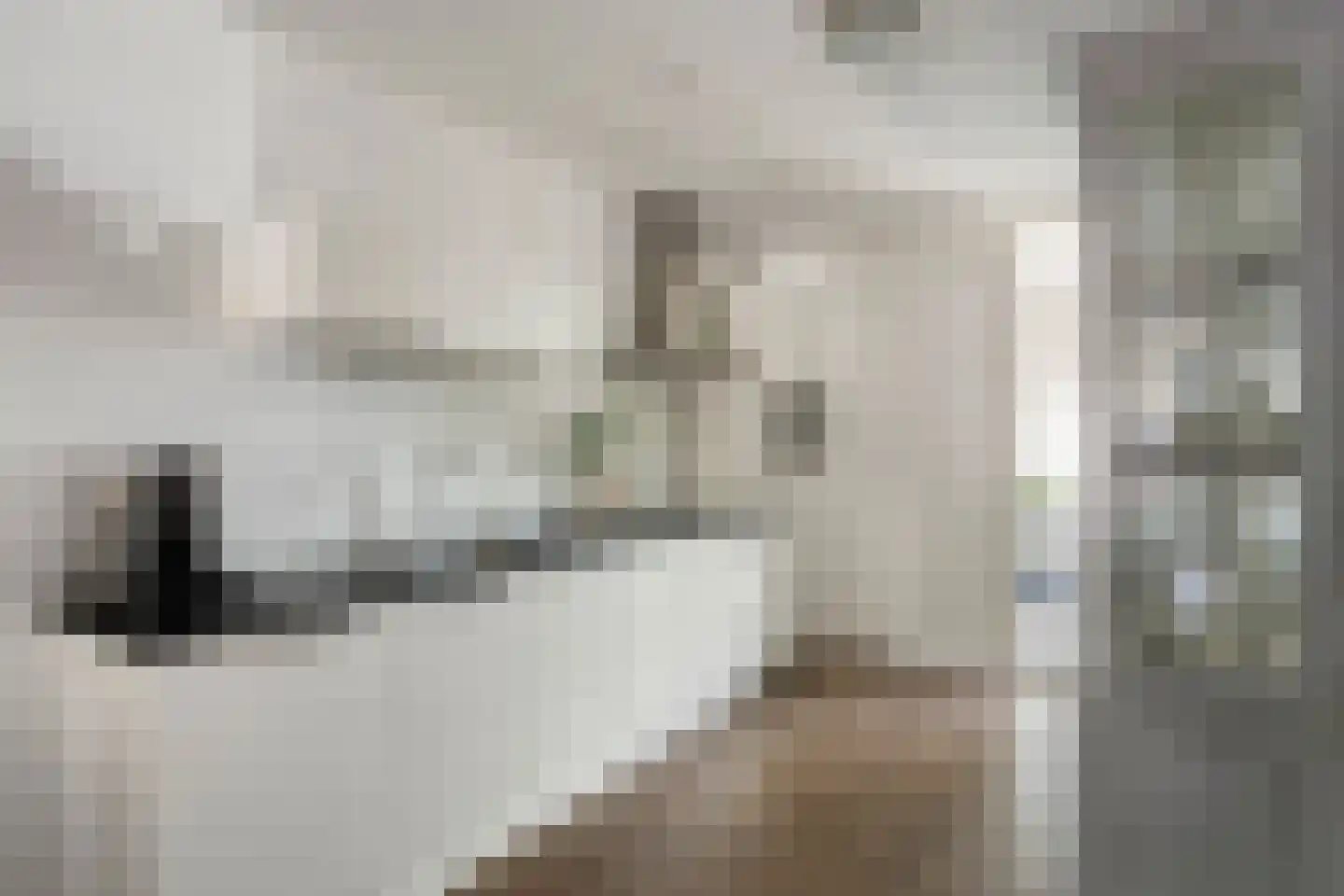 Aloysiusplein 49 Geffen thumbnail 10