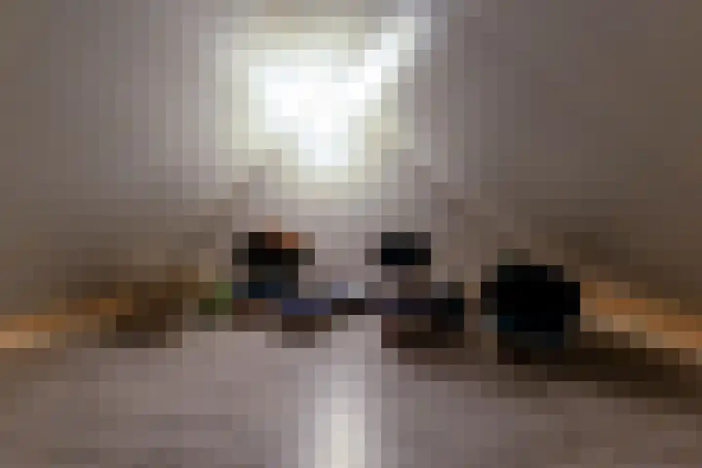Aloysiusplein 49 Geffen thumbnail 11