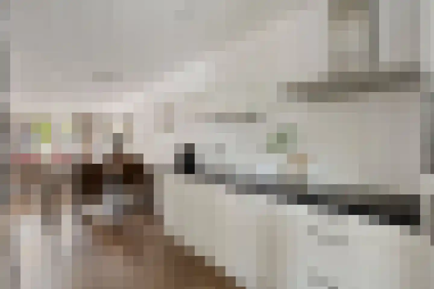 Aloysiusplein 49 Geffen thumbnail 12