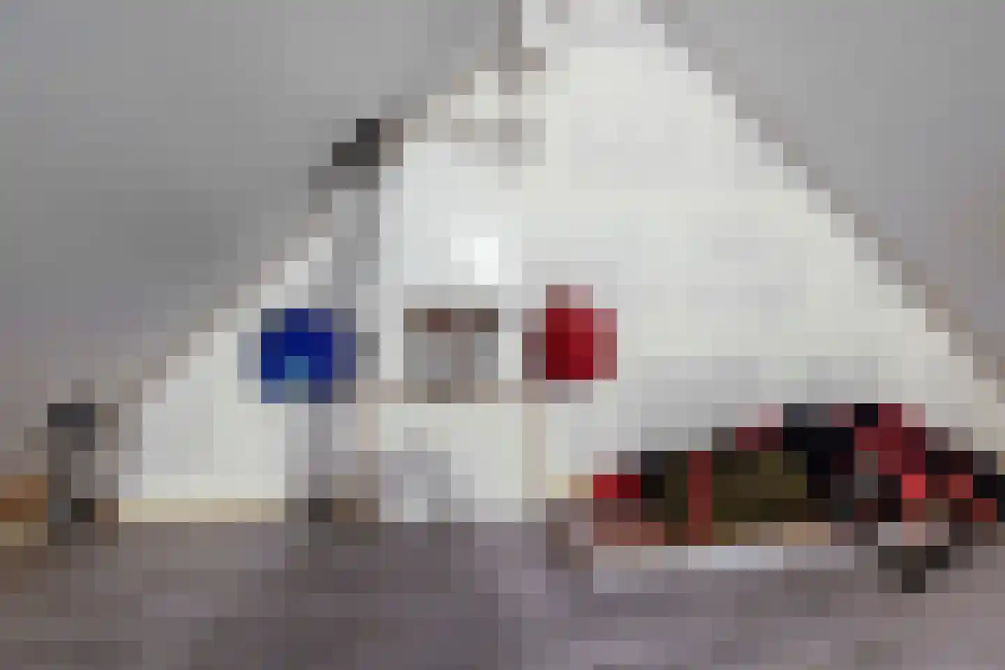 Aloysiusplein 49 Geffen thumbnail 13