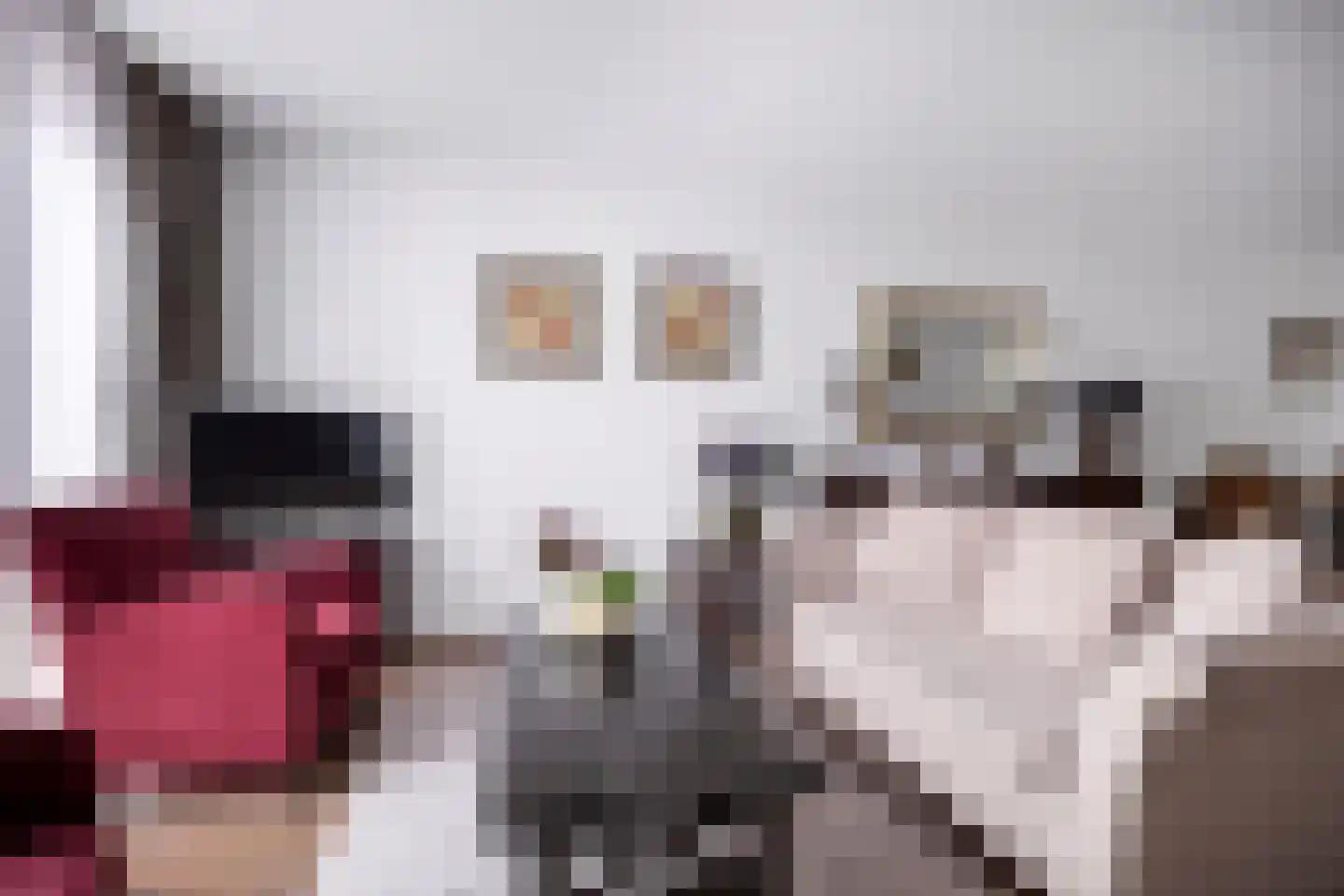 Aloysiusplein 49 Geffen thumbnail 14