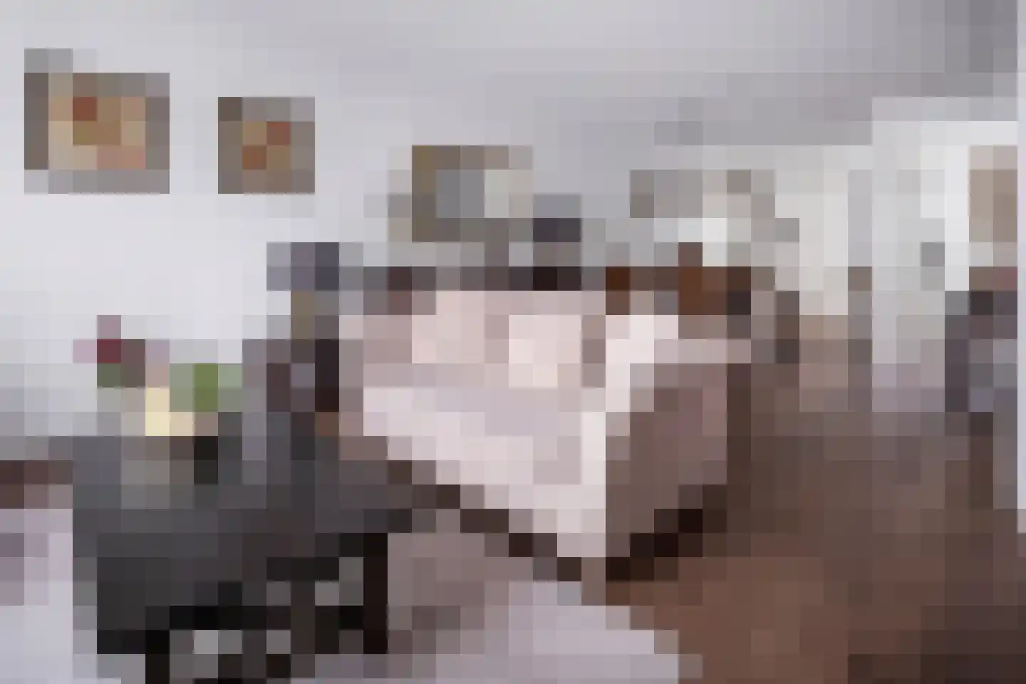 Aloysiusplein 49 Geffen thumbnail 15