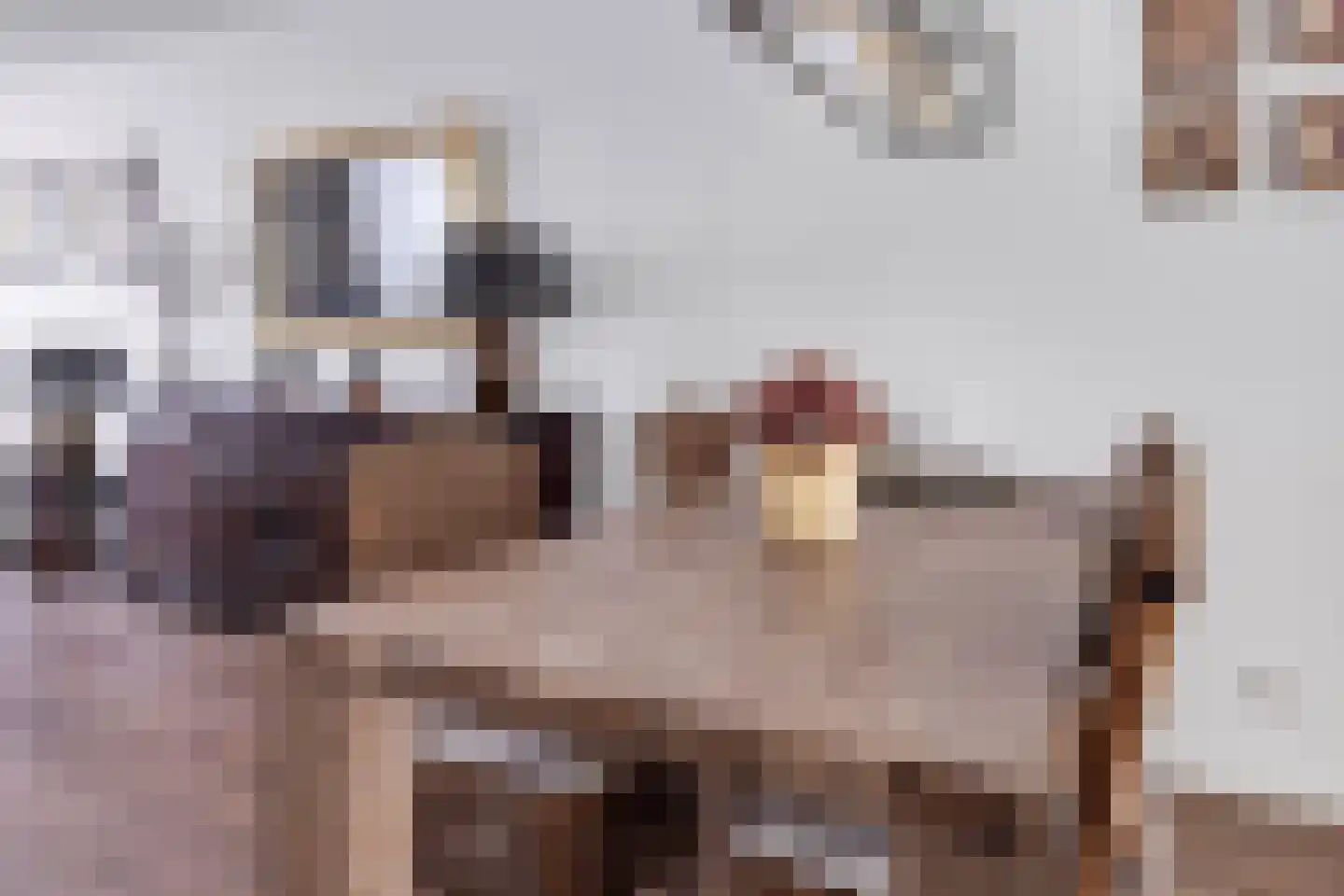 Aloysiusplein 49 Geffen thumbnail 18
