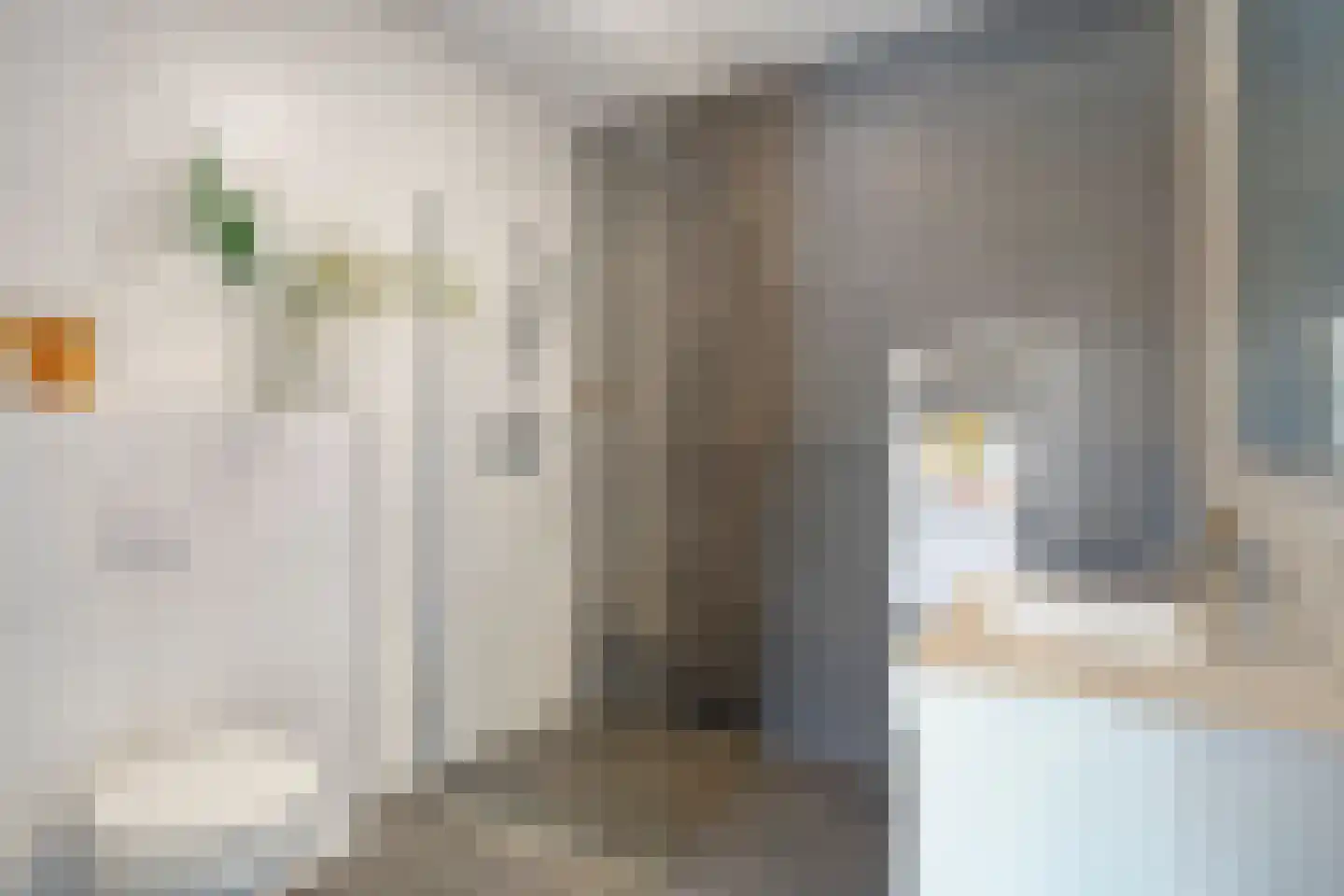 Aloysiusplein 49 Geffen thumbnail 18