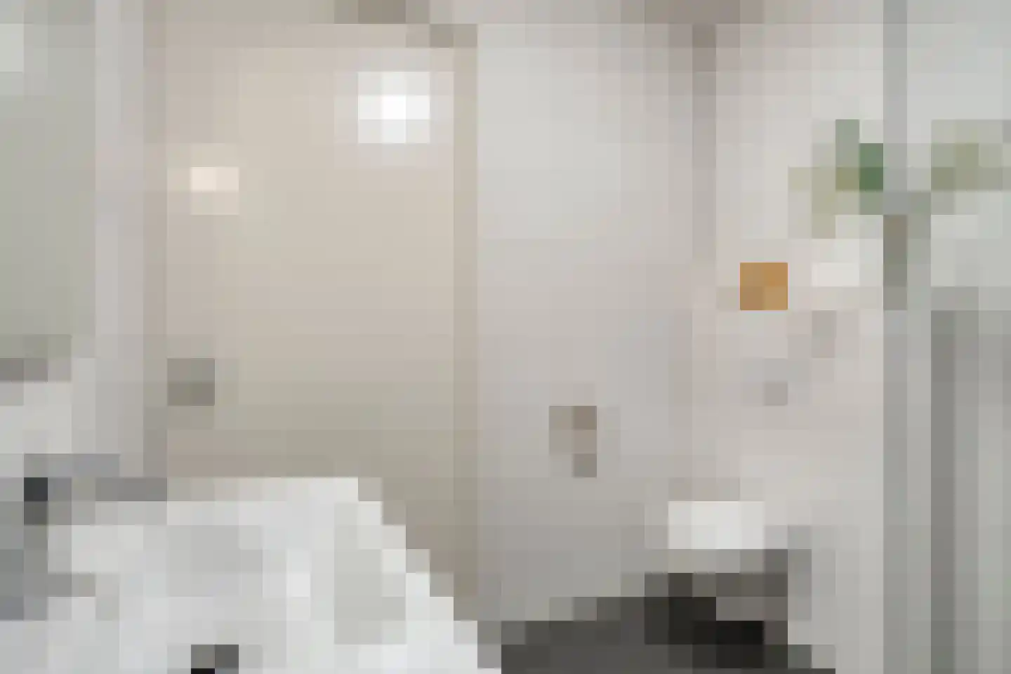 Aloysiusplein 49 Geffen thumbnail 19
