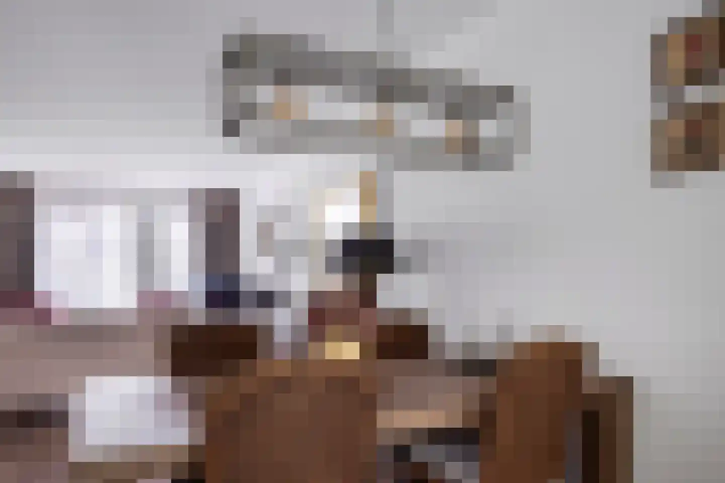 Aloysiusplein 49 Geffen thumbnail 19