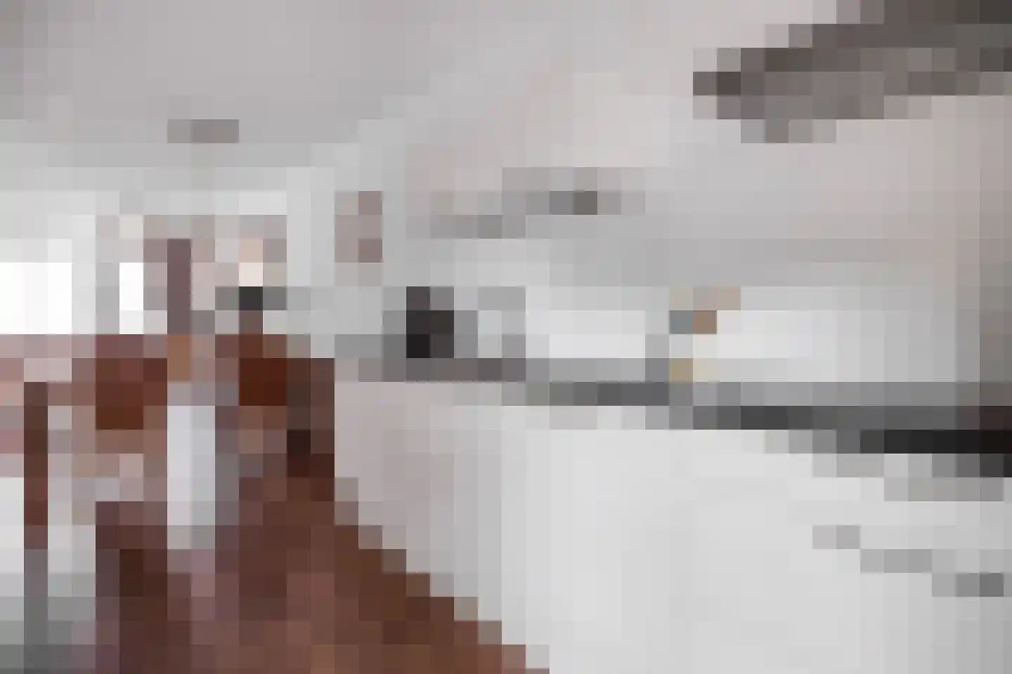Aloysiusplein 49 Geffen thumbnail 22