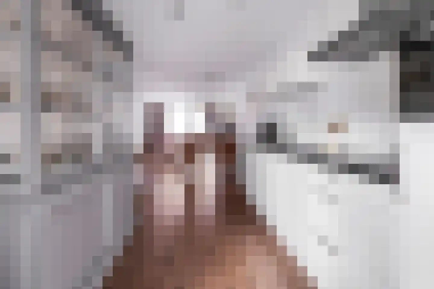 Aloysiusplein 49 Geffen thumbnail 23
