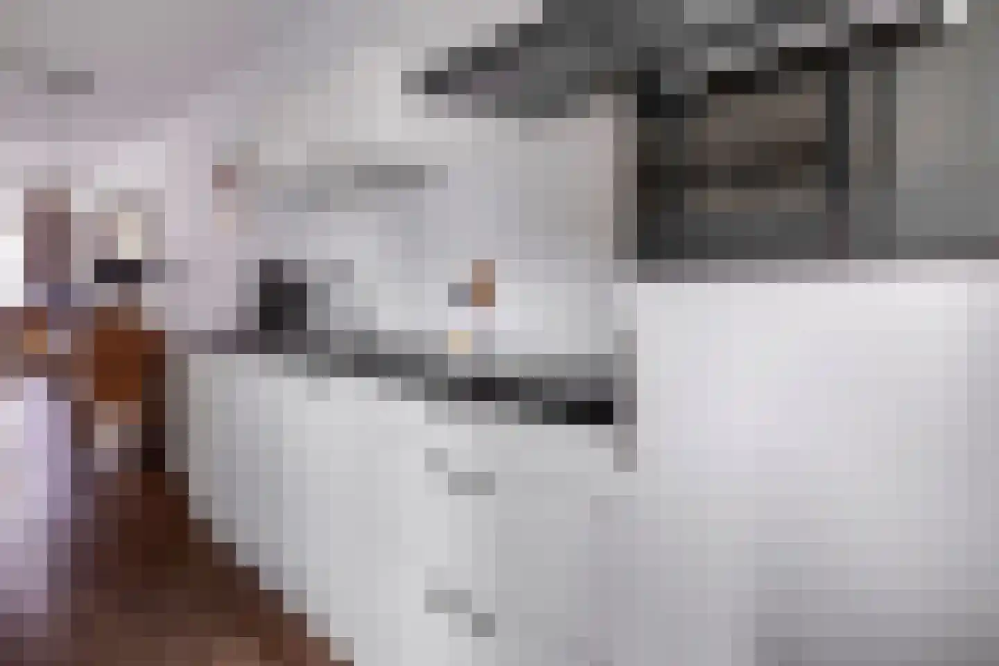 Aloysiusplein 49 Geffen thumbnail 24