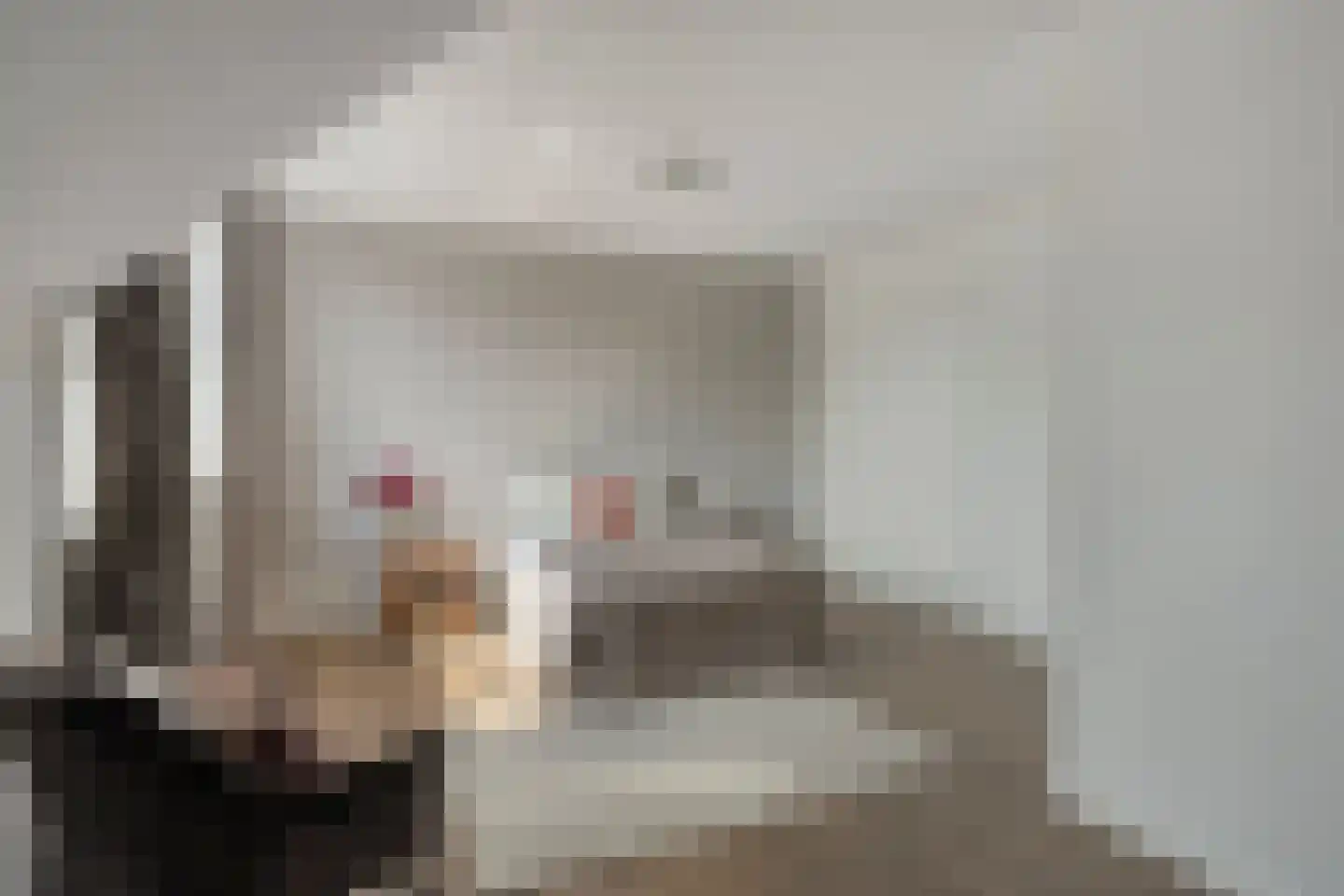 Aloysiusplein 49 Geffen thumbnail 25