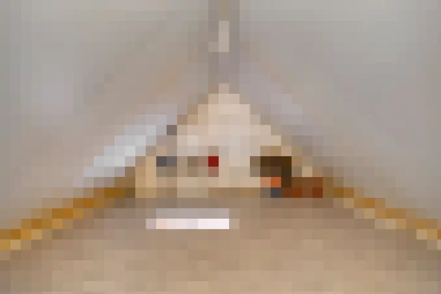 Aloysiusplein 49 Geffen thumbnail 28