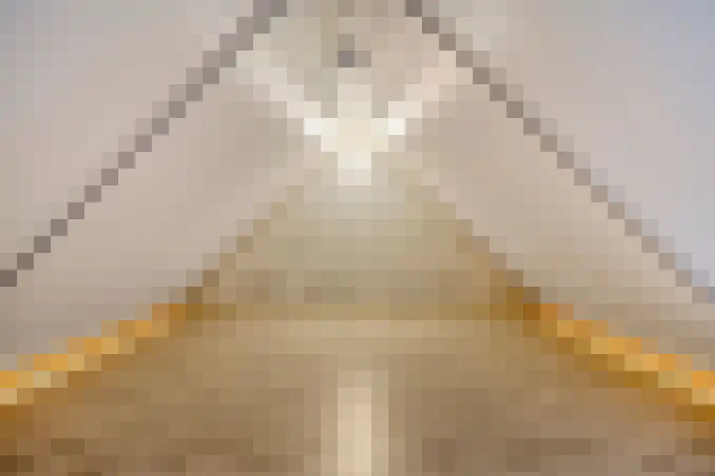 Aloysiusplein 49 Geffen thumbnail 29